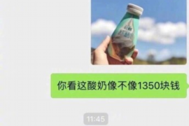 岭东融资清欠服务